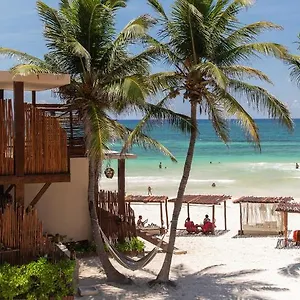 La Zebra Tulum, A Small Luxury Mexiko